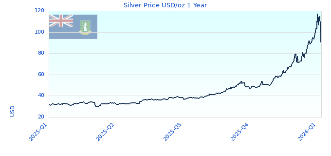 Silver Price USD/oz 1 Year