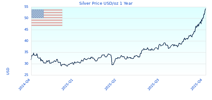 Silver Price USD/oz 1 Year